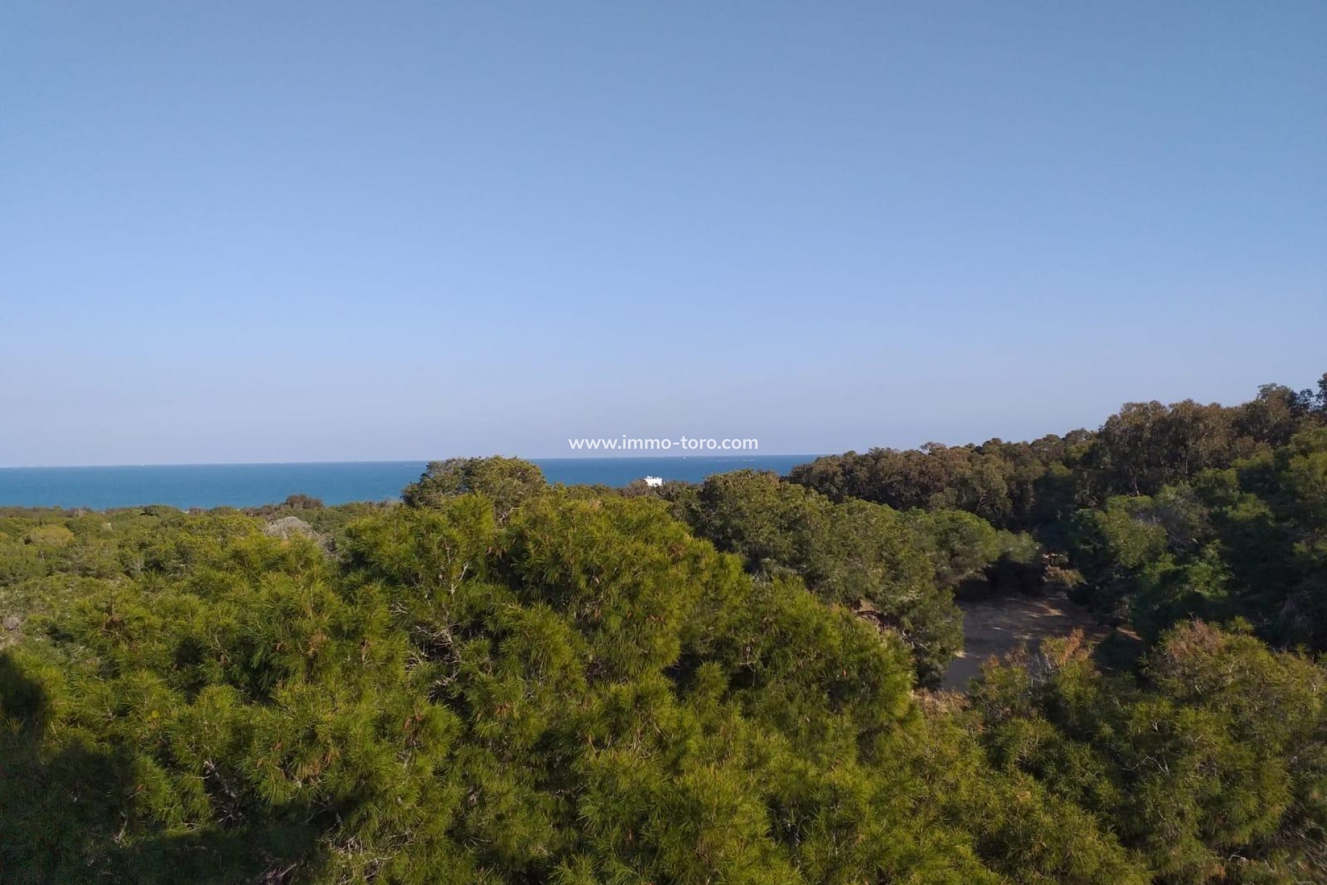 Nouvelle construction - Appartement - Guardamar del Segura