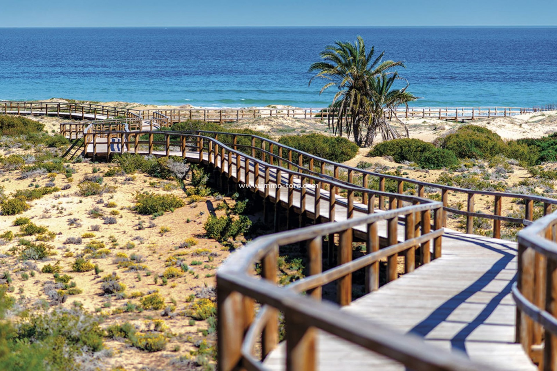 Nouvelle construction - Appartement - Monforte Del Cid - Monforte del Cid