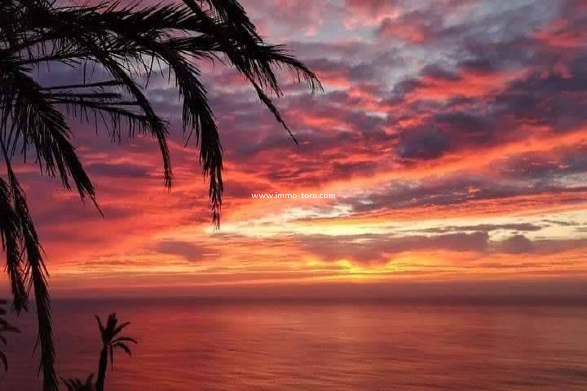 Nouvelle construction - Appartement - Torrevieja - Altos del Sol