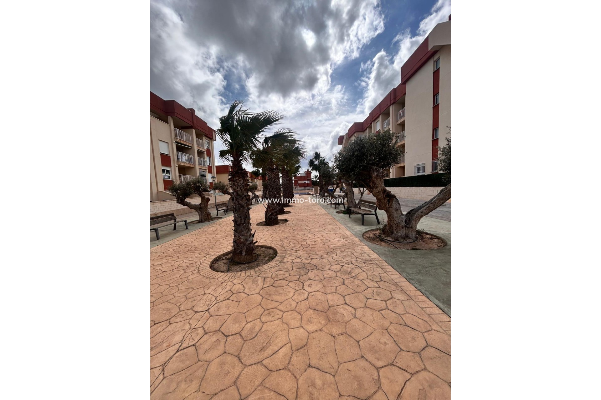 Nouvelle construction -  - Orihuela