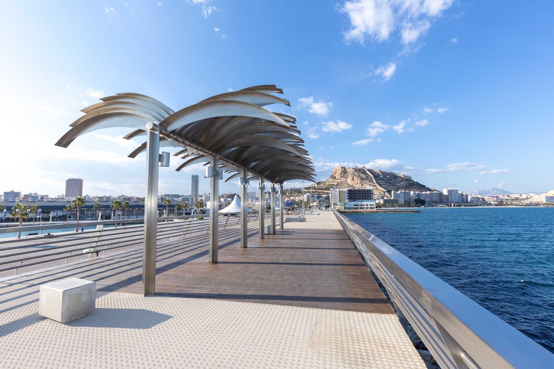 Nouvelle construction - Penthouse - Alicante - Centro