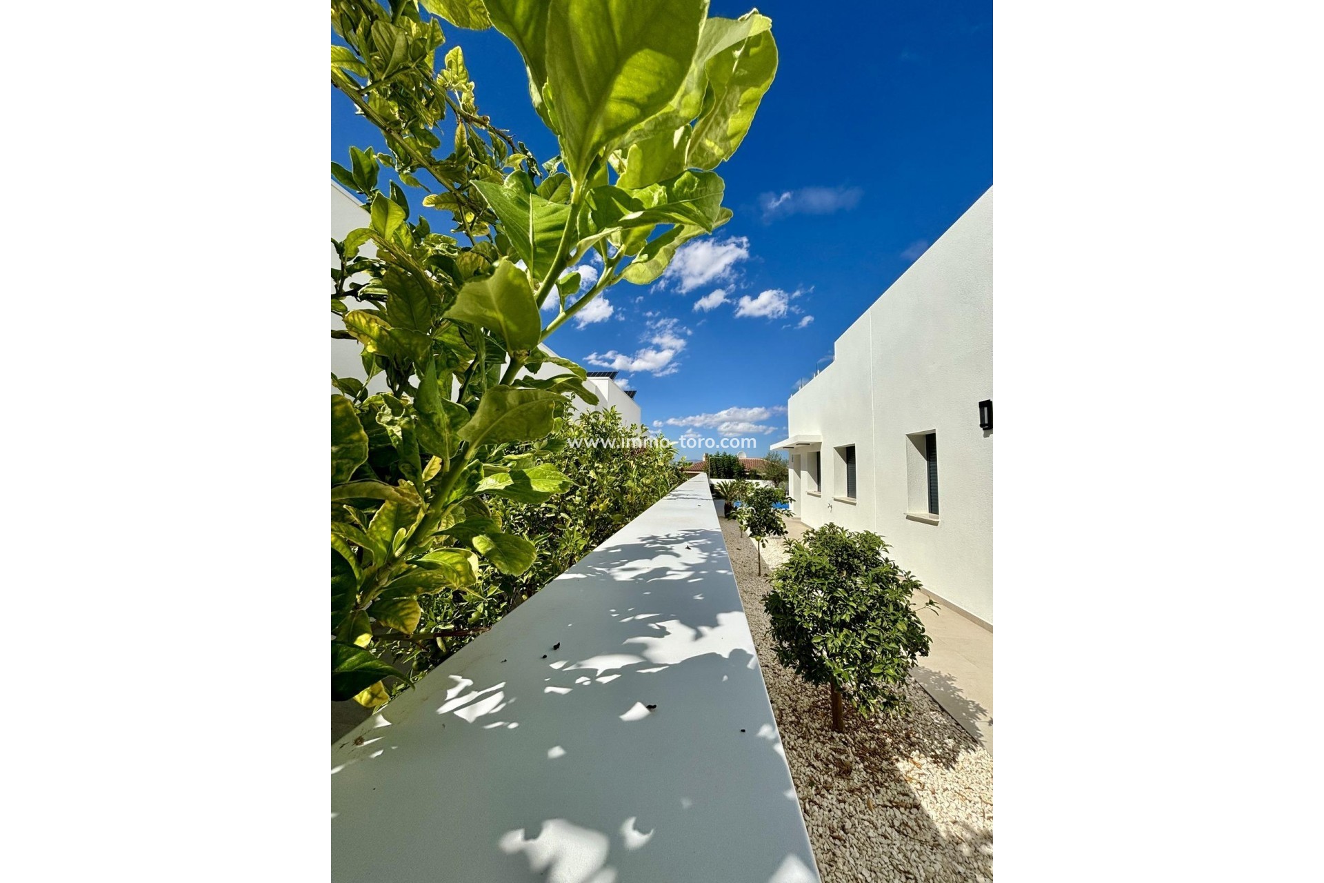 Nouvelle construction - Villa - Benijófar