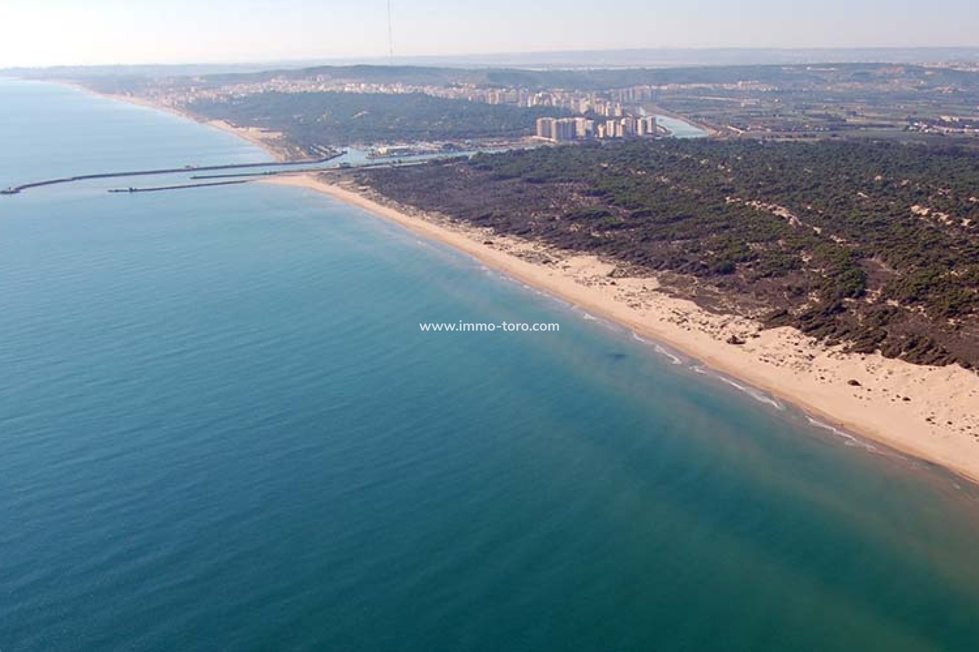 Nouvelle construction - Villa - Daya Nueva