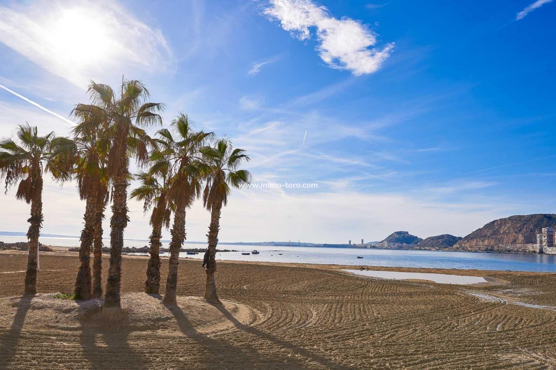 Nouvelle construction - Villa - Els Poblets - Partida Barranquets