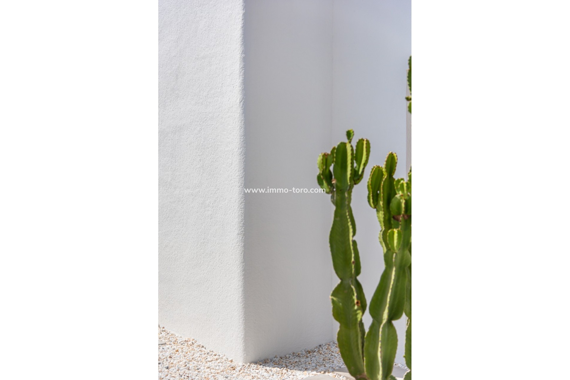 Nouvelle construction - Villa - Los Alcázares