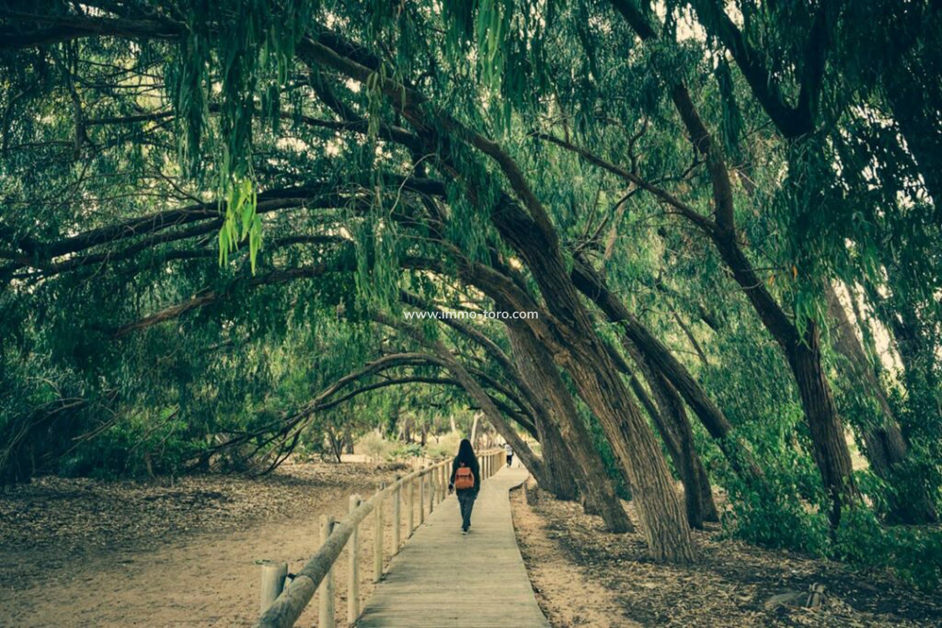 Nouvelle construction - Villa - Los Montesinos