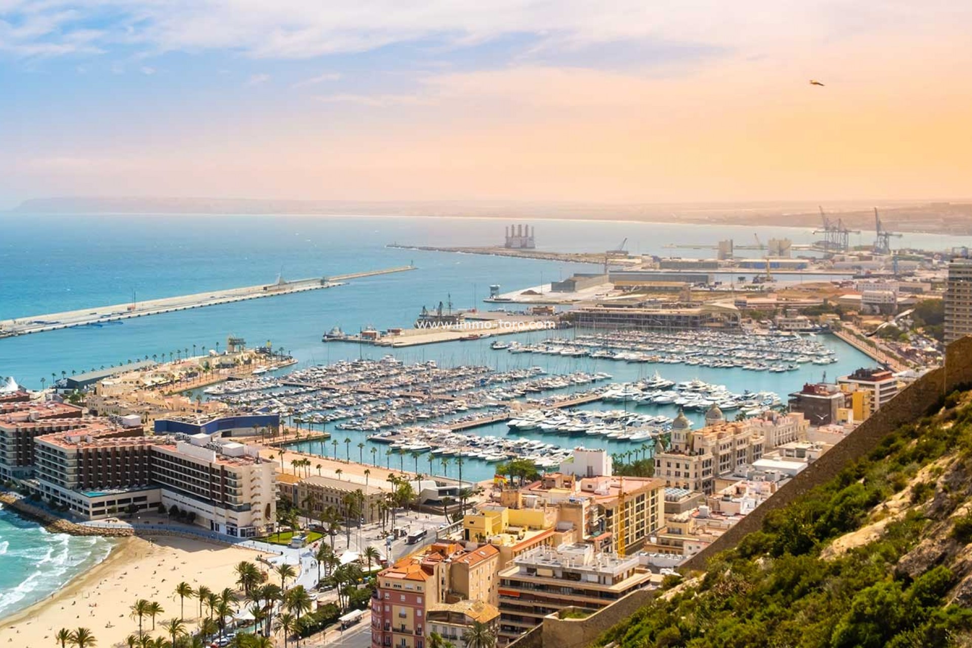 Nouvelle construction - Villa - Mutxamel