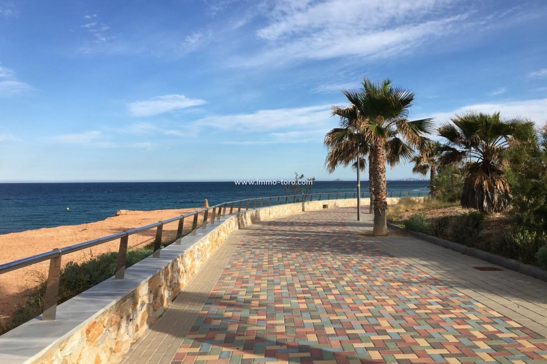 Nouvelle construction - Villa - Pilar de la Horadada - Playa de las Higuericas