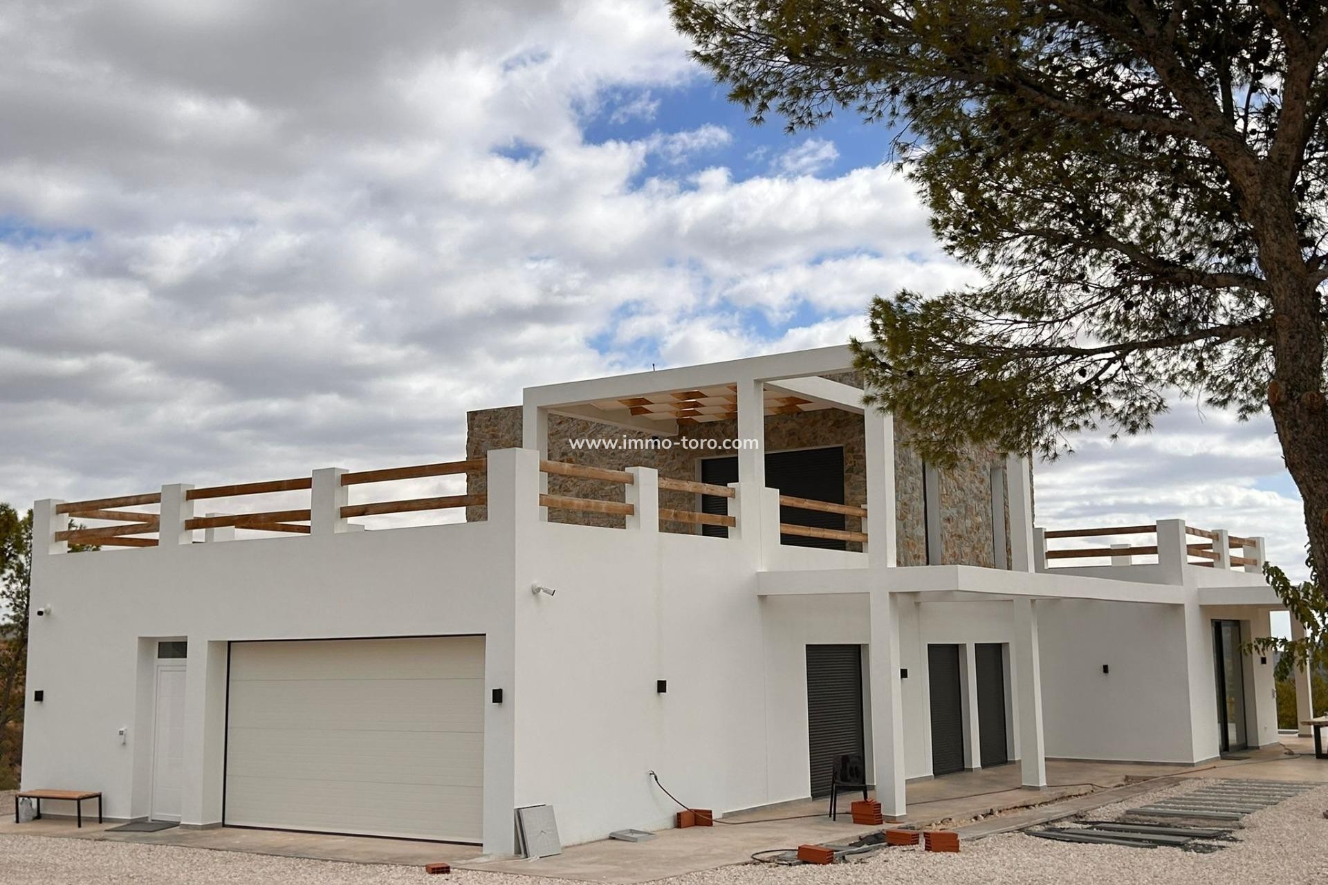 Nouvelle construction - Villa - Pinoso - Casas Pastor