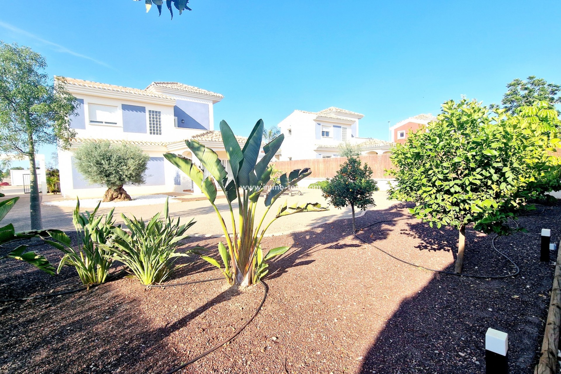 Nouvelle construction - Villa - Purias