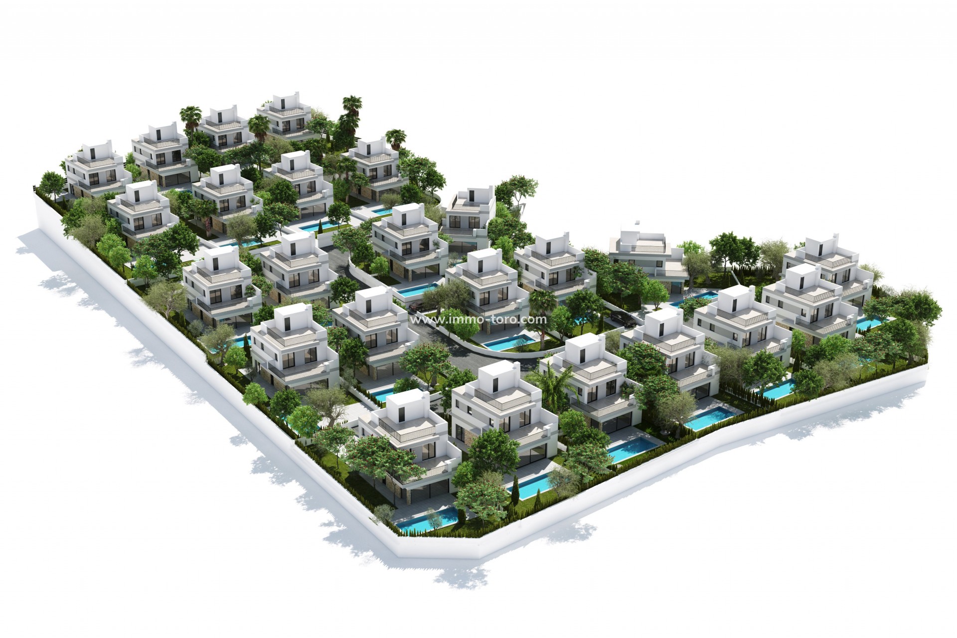 Nouvelle construction - Villa - San Miguel de Salinas