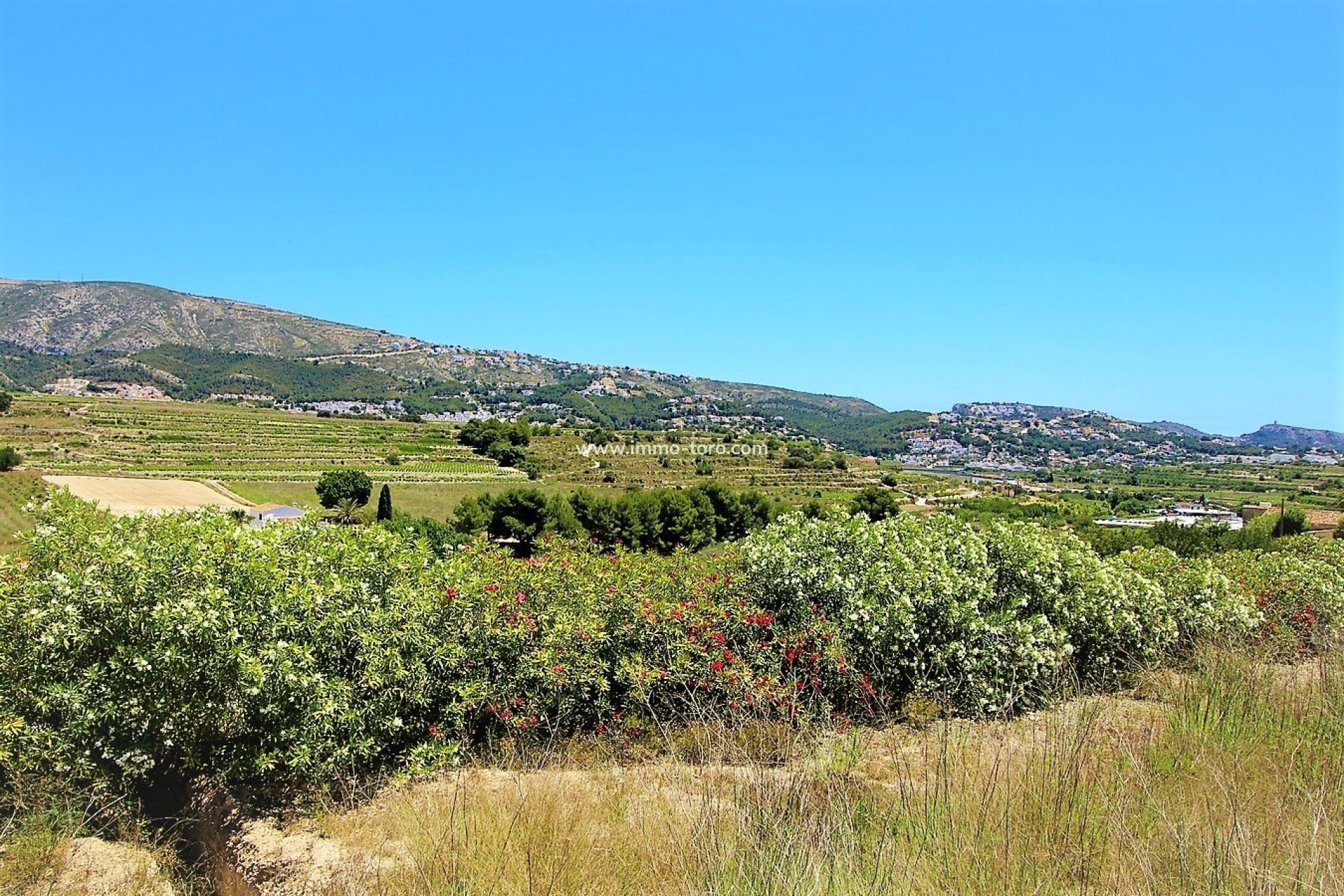 Nouvelle construction - Villa - Teulada - Campo