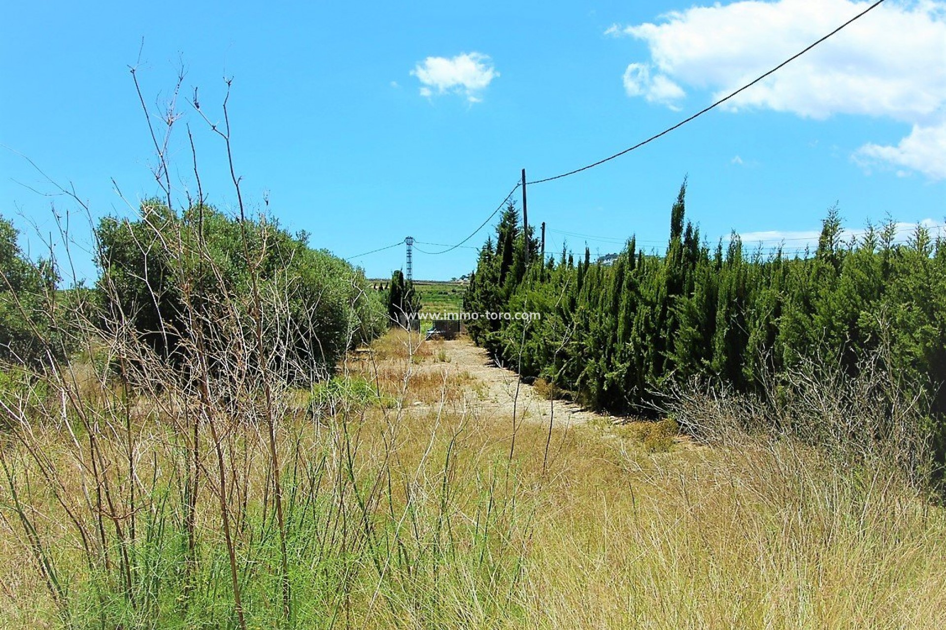 Nouvelle construction - Villa - Teulada - Campo