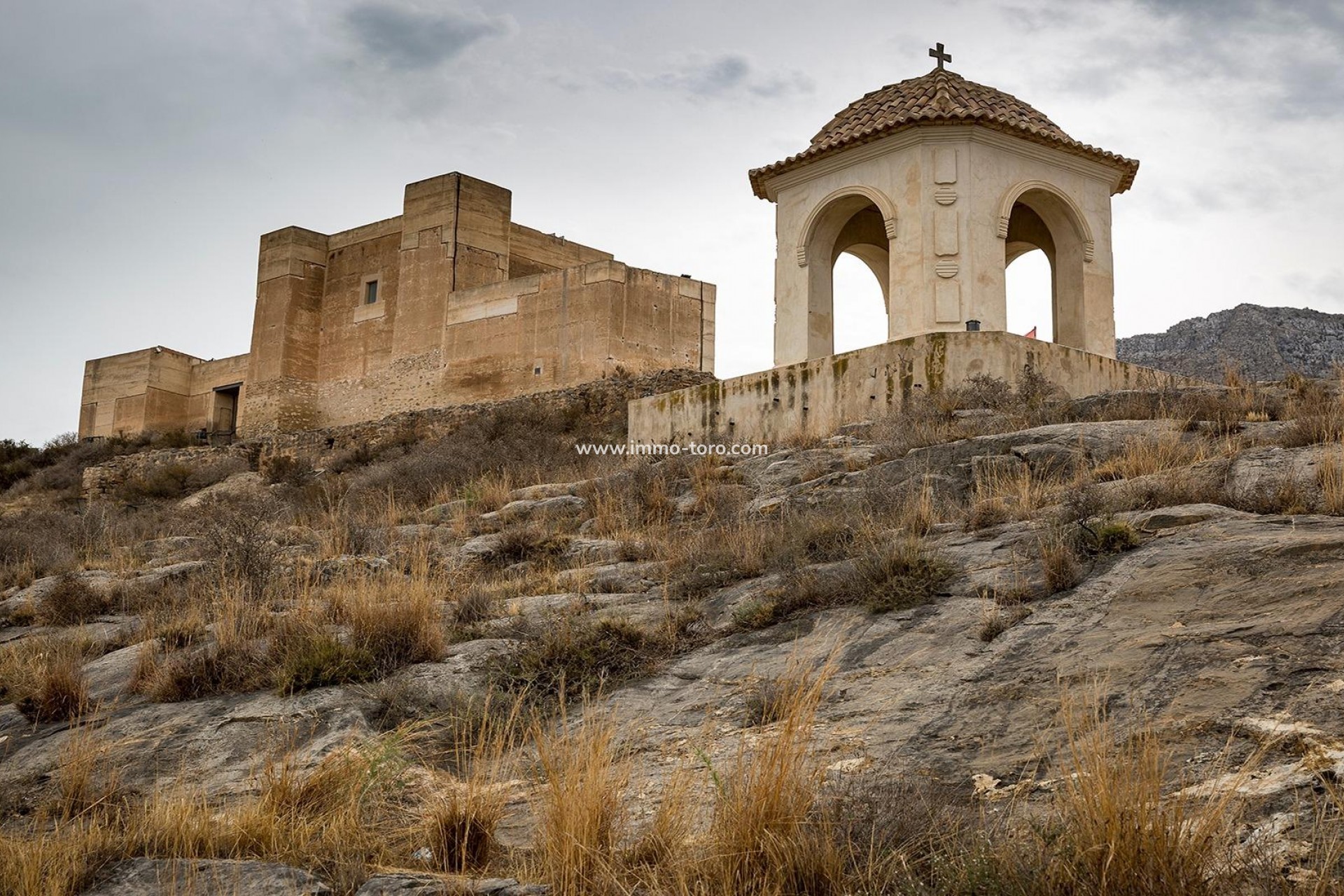 Nueva construcción  - Adosado - Cox