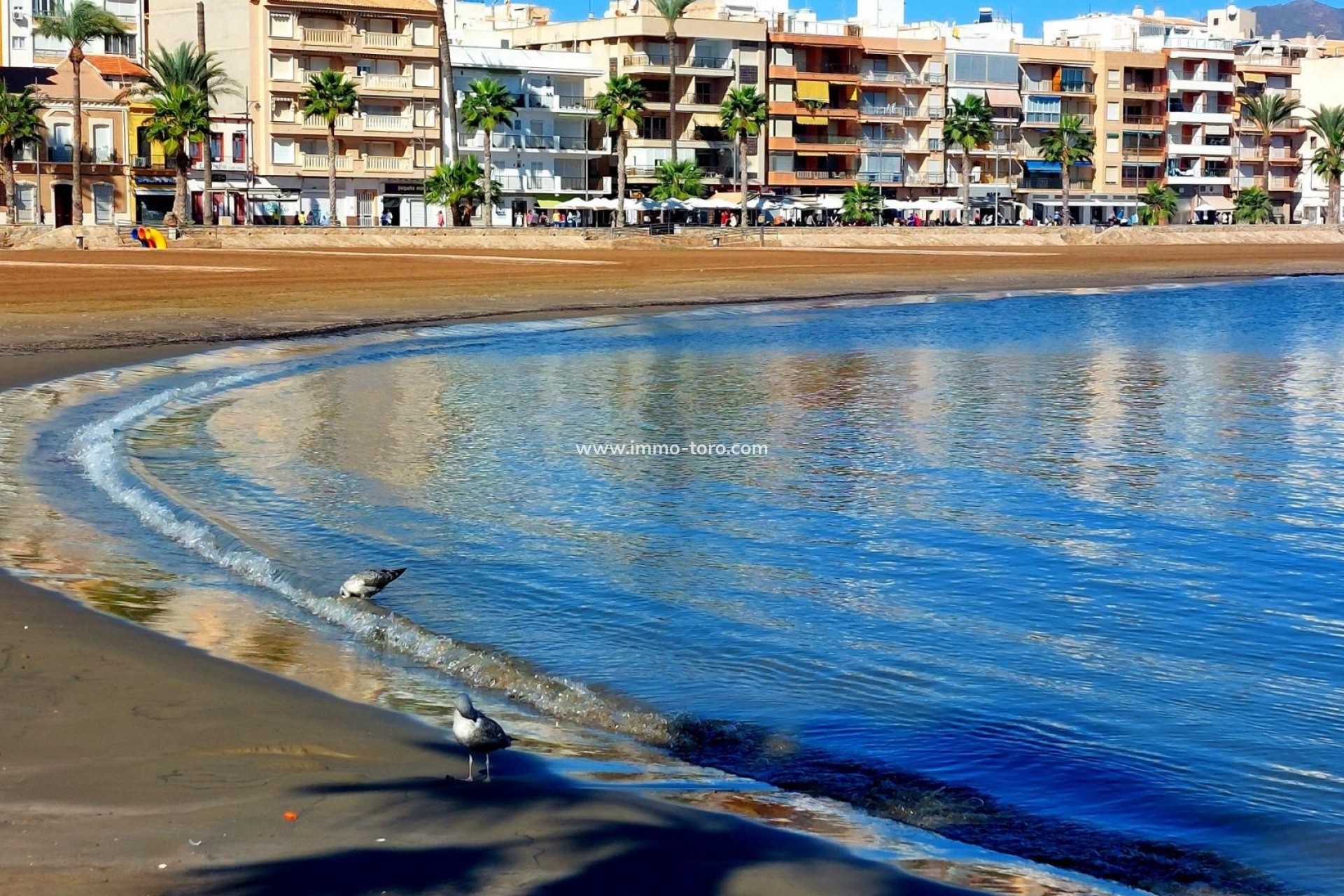 Nueva construcción  - Adosado - Fuente Álamo - La Pinilla
