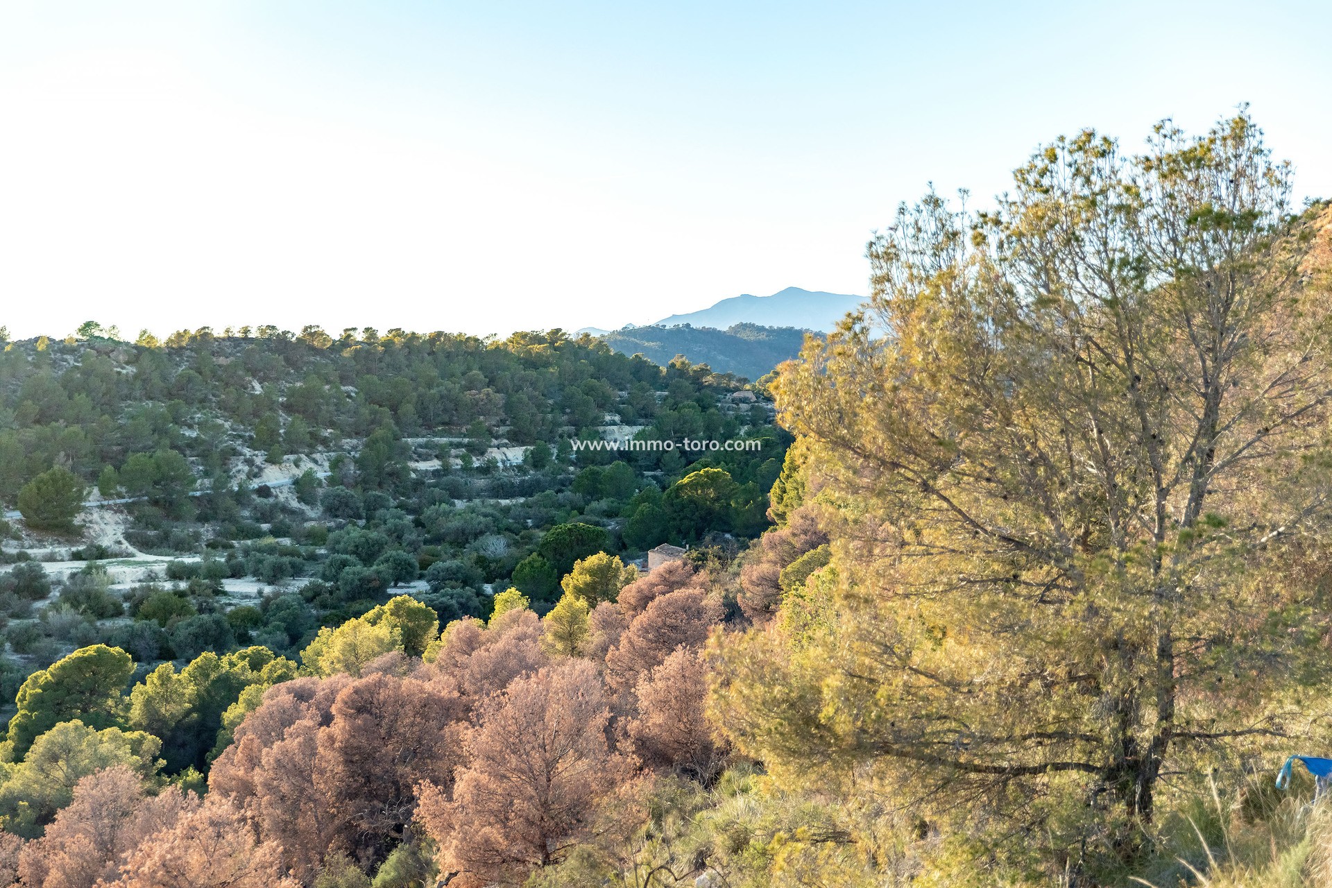 Nueva construcción  - Apartamento - Finestrat