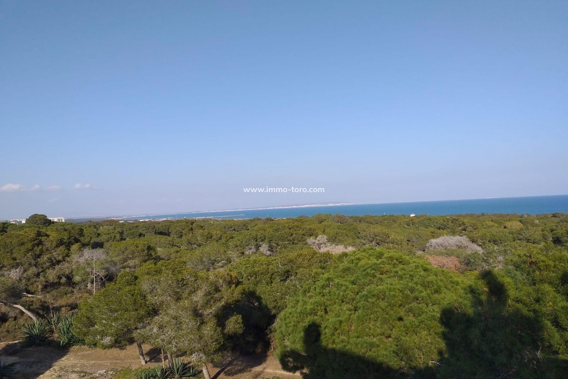 Nueva construcción  - Apartamento - Guardamar - Guardamar del Segura