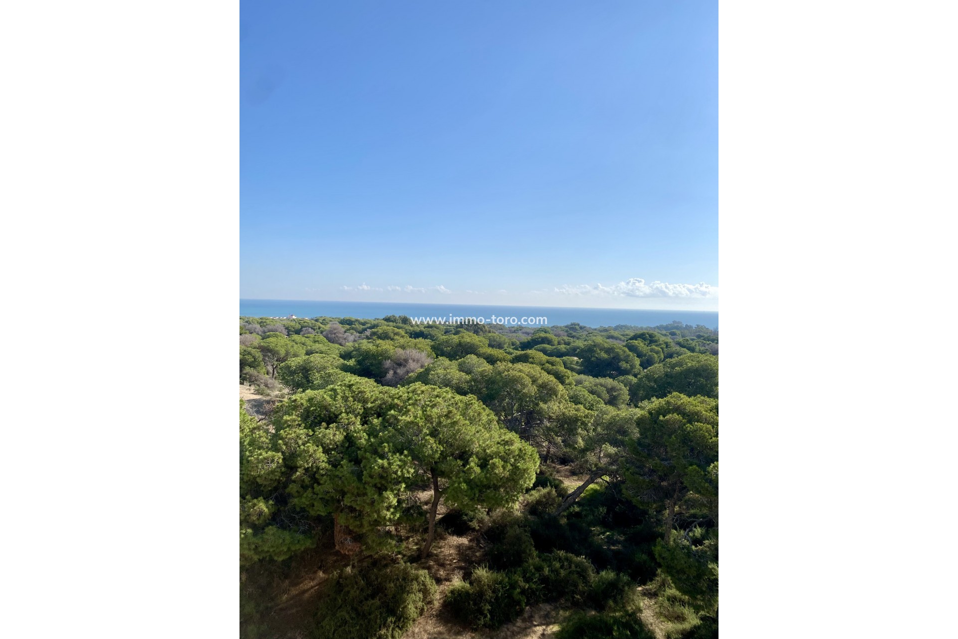 Nueva construcción  - Apartamento - Guardamar - Guardamar del Segura