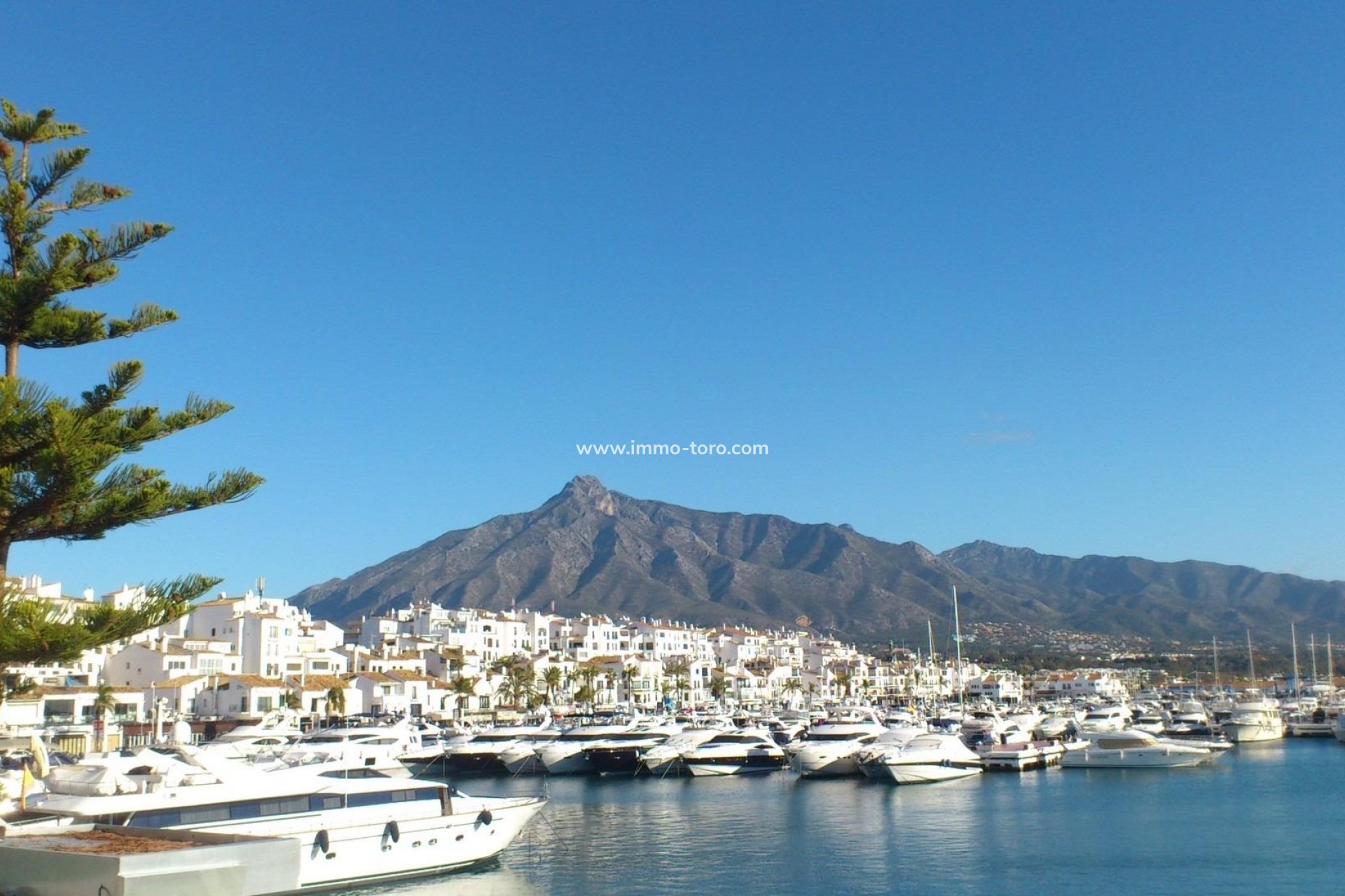 Nueva construcción  - Apartamento - Marbella - Nueva Andalucia