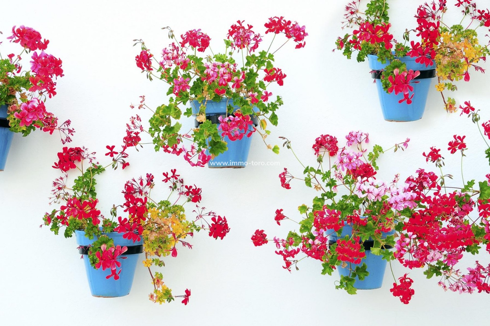 Nueva construcción  - Apartamento - Mijas - La Noria Golf