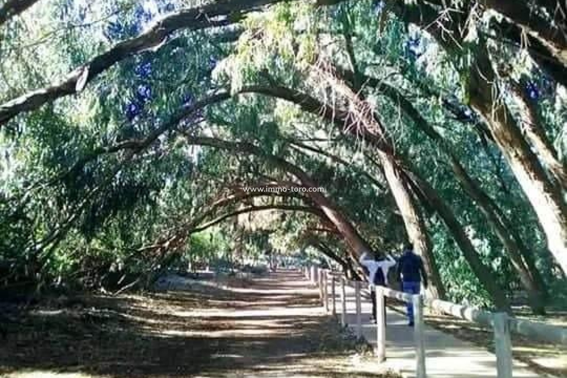 Nueva construcción  - Apartamento - Torrevieja - Altos del Sol