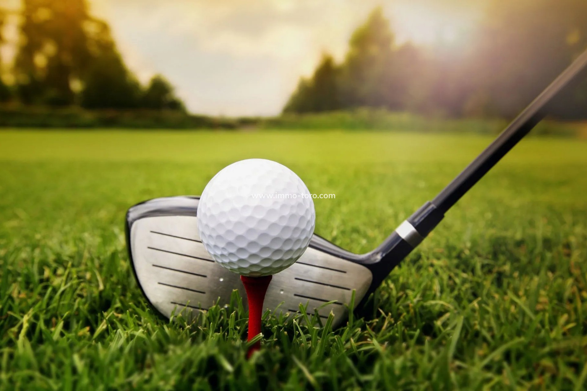 Nueva construcción  - Ático - Guardamar - Guardamar del Segura