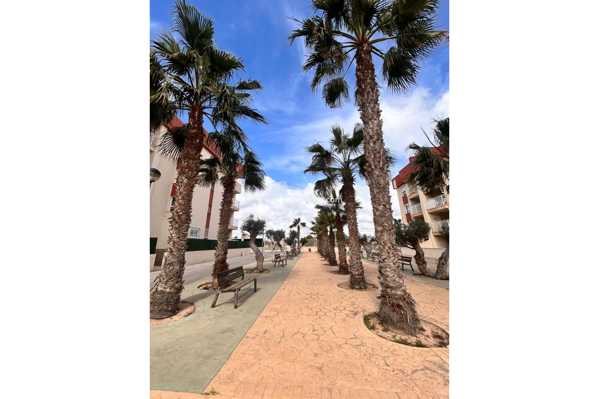 Nueva construcción  - Ático - Orihuela Costa