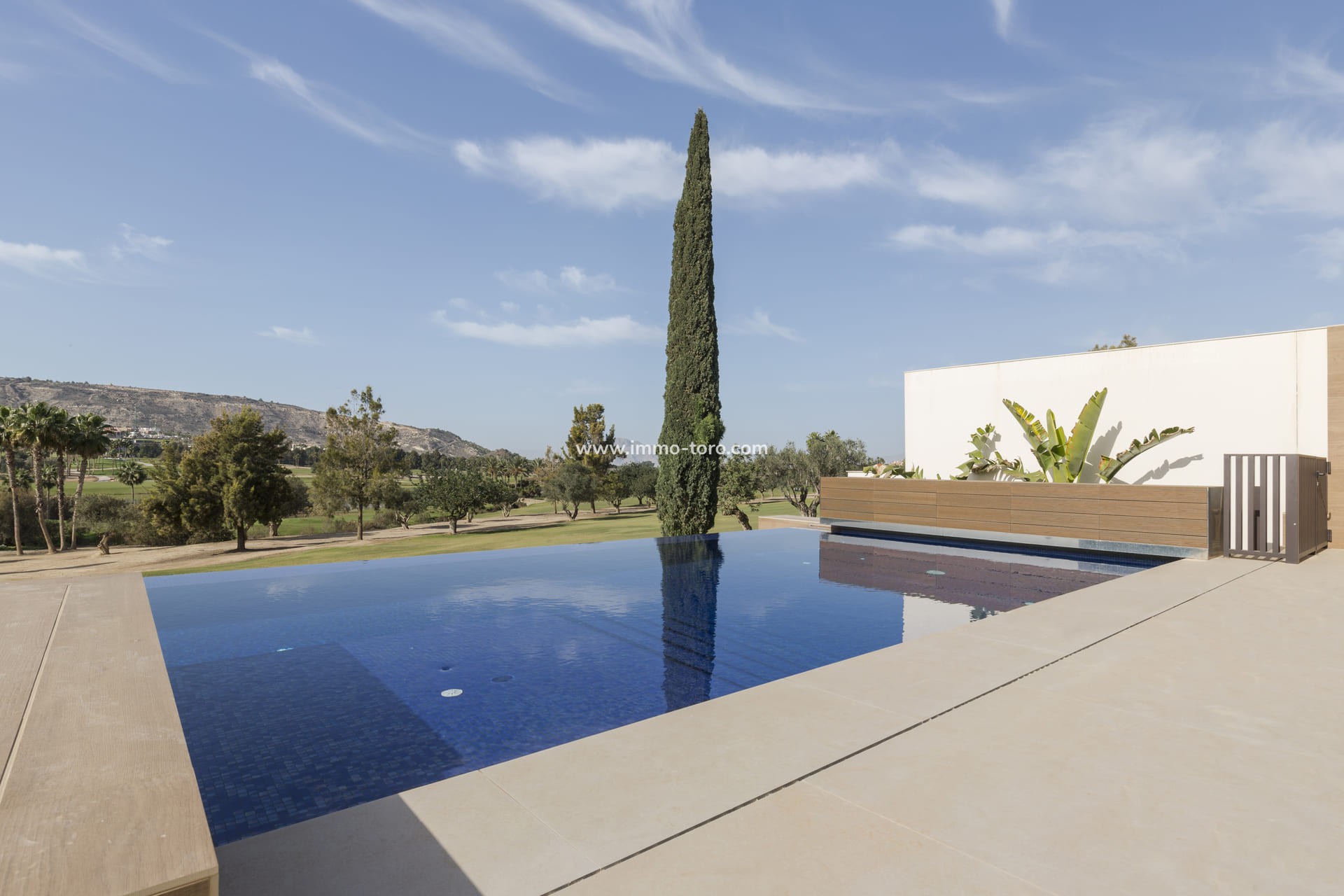 Nueva construcción  - Villa / Chalet - Algorfa - La Finca Golf