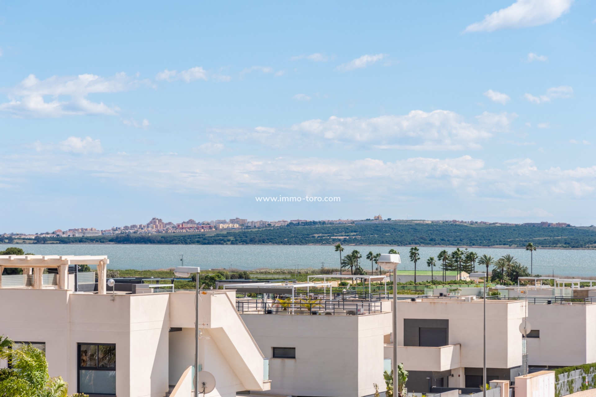 Nueva construcción  - Villa / Chalet - Los Montesinos