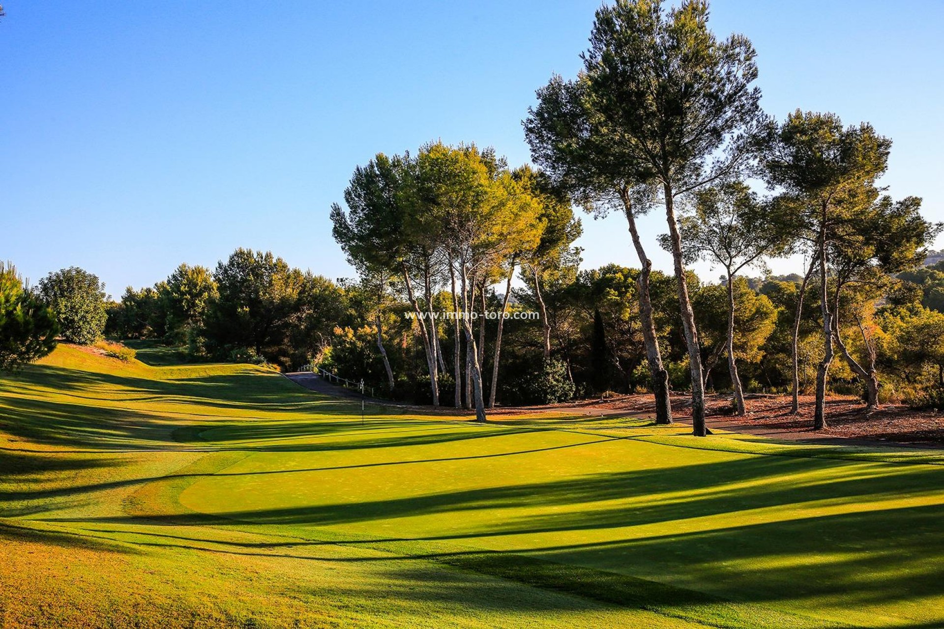 Nueva construcción  - Villa / Chalet - Orihuela - Las Colinas Golf