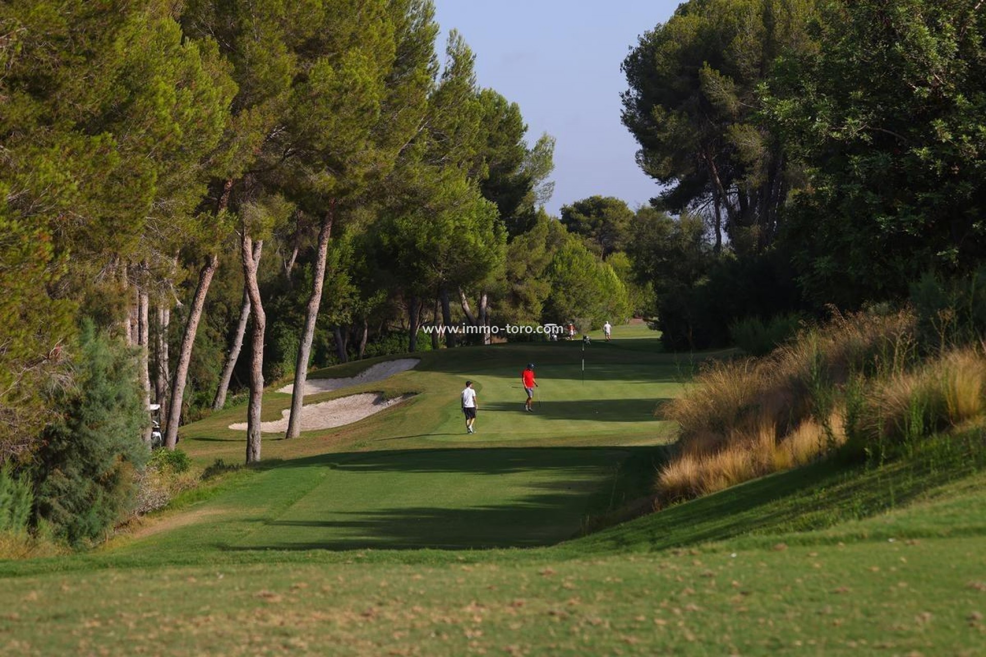 Nueva construcción  - Villa / Chalet - Orihuela - Las Colinas Golf