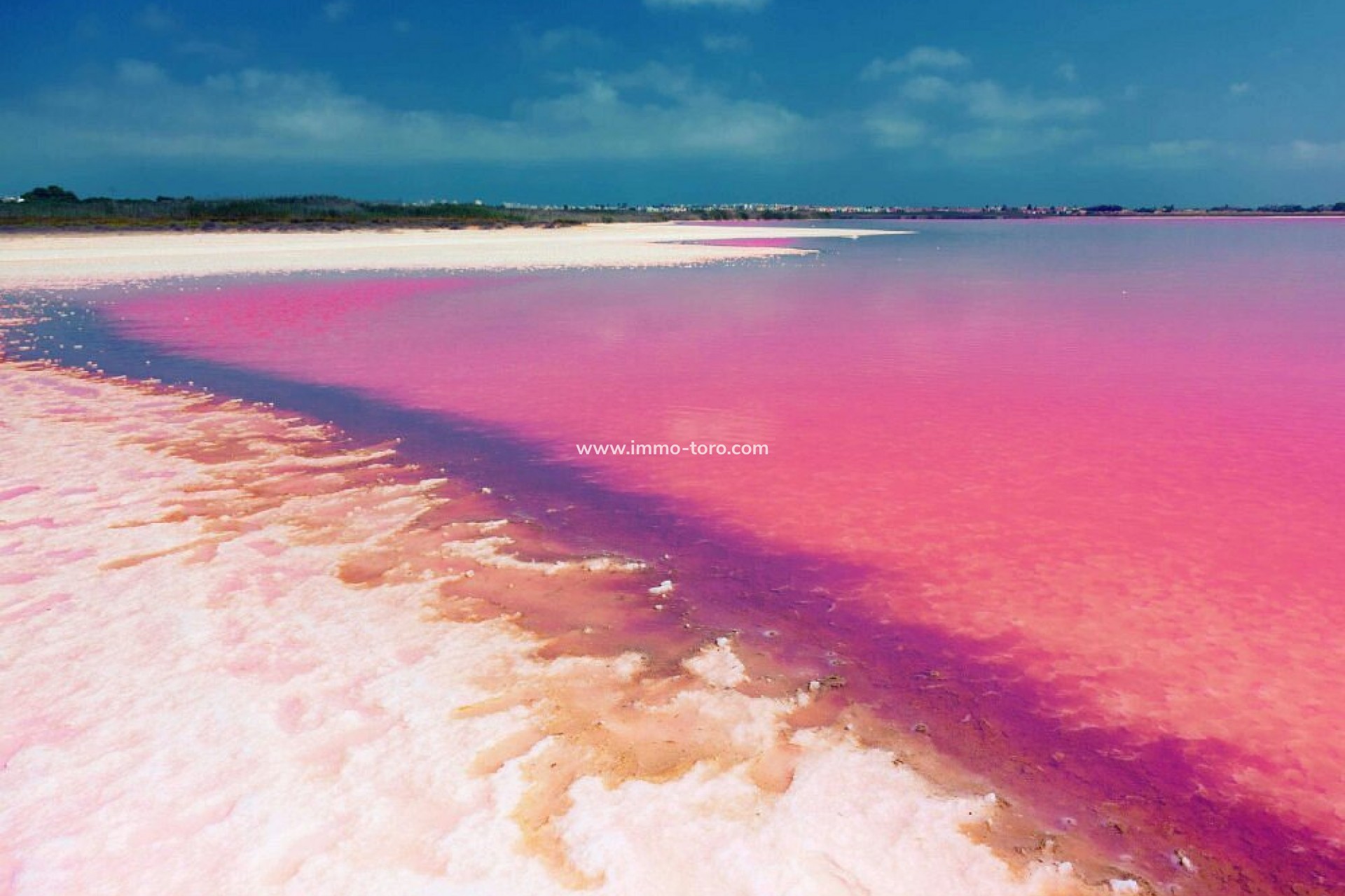 Nueva construcción  - Villa / Chalet - Orihuela - Orihuela Costa