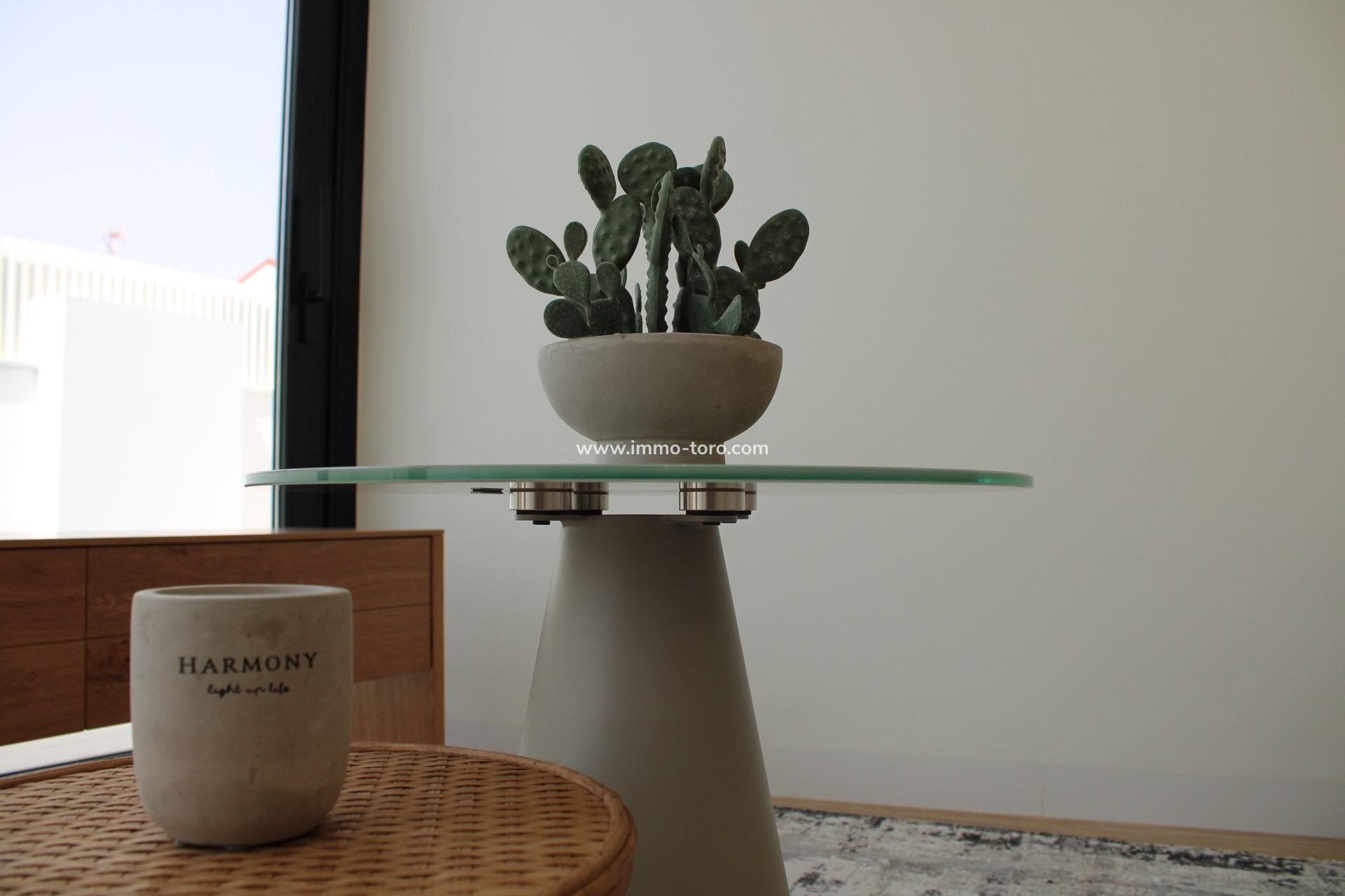 Nueva construcción  - Villa / Chalet - Pilar de la Horadada - Torre De La Horadada