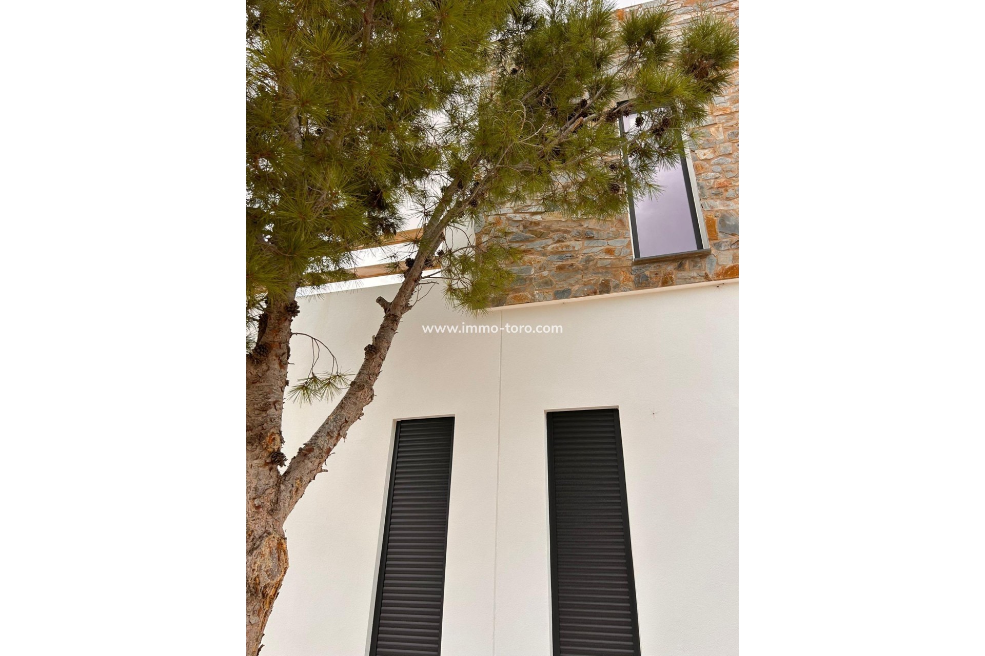 Nueva construcción  - Villa / Chalet - Pinoso - Casas Pastor