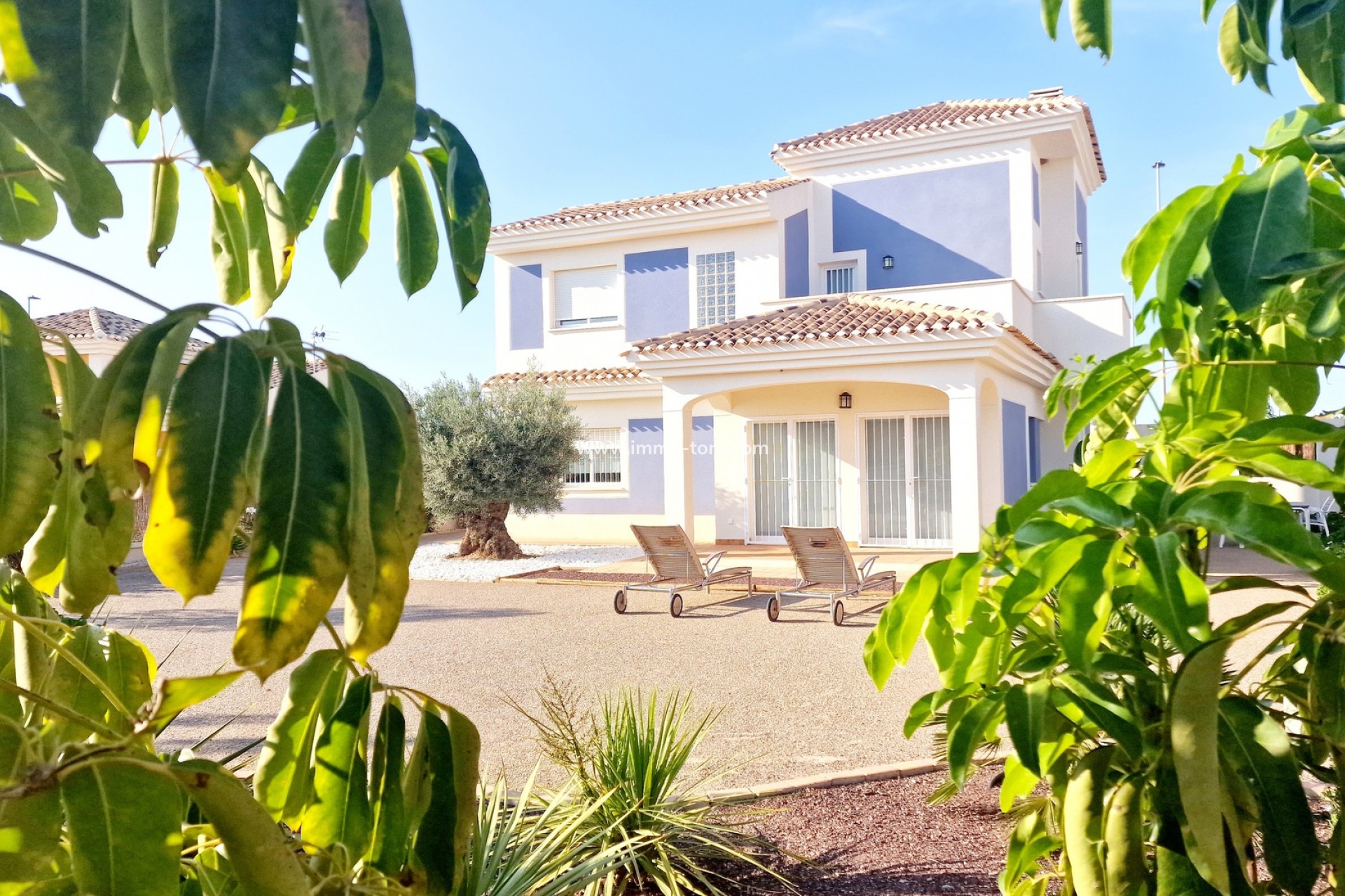 Nueva construcción  - Villa / Chalet - Purias