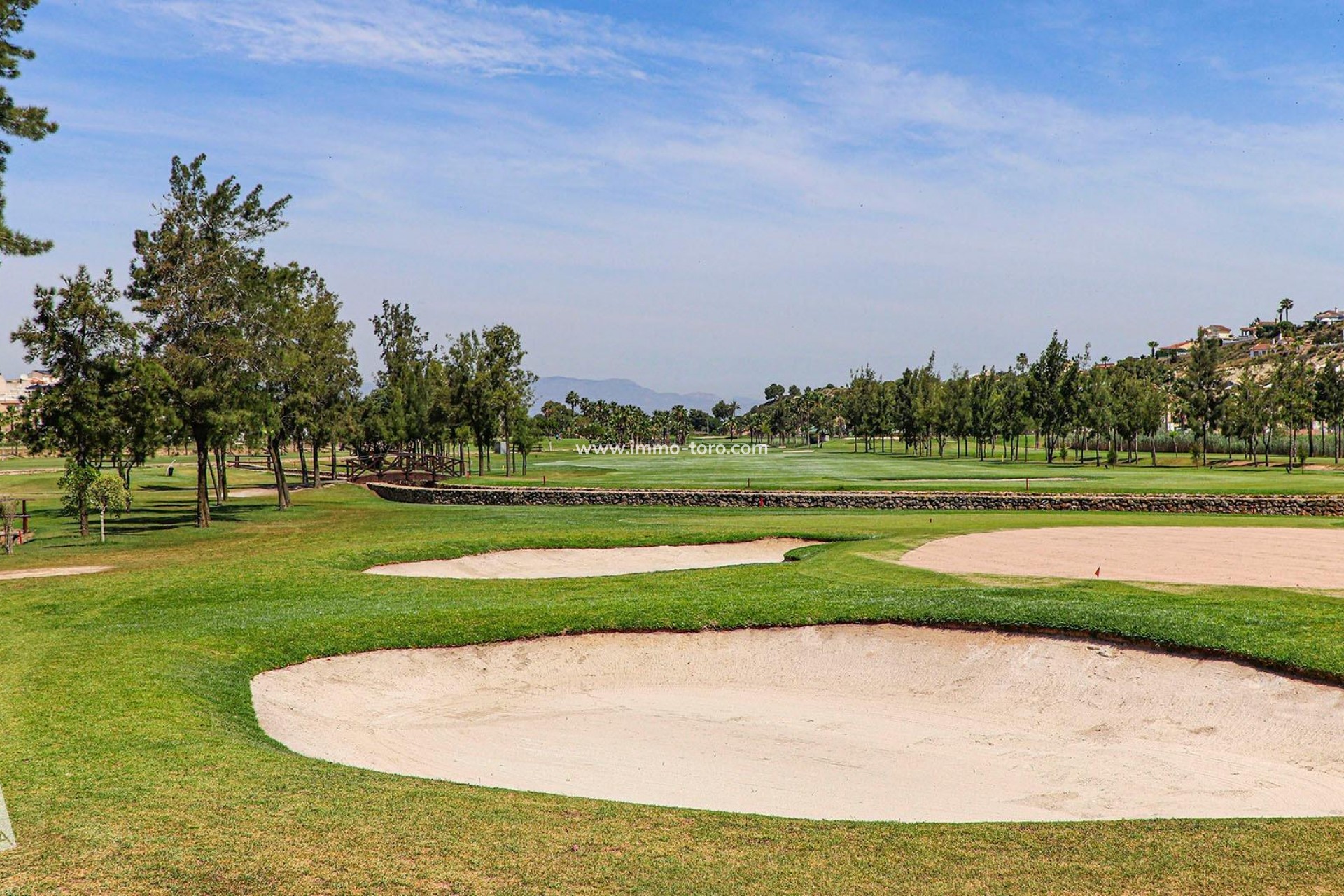 Nueva construcción  - Villa / Chalet - Rojales - Ciudad Quesada