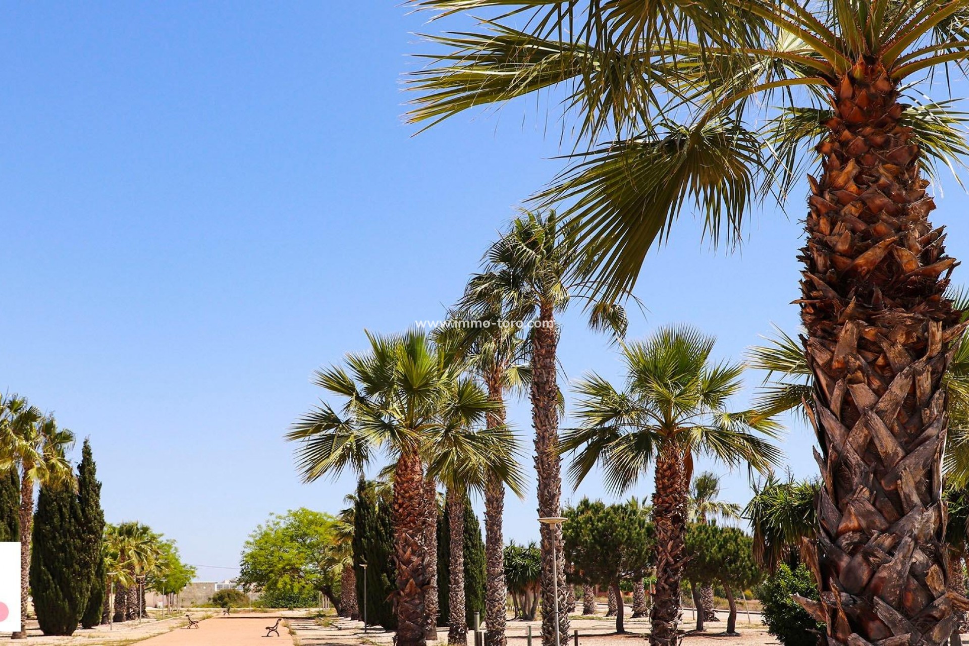 Nueva construcción  - Villa / Chalet - San Fulgencio - La Escuera