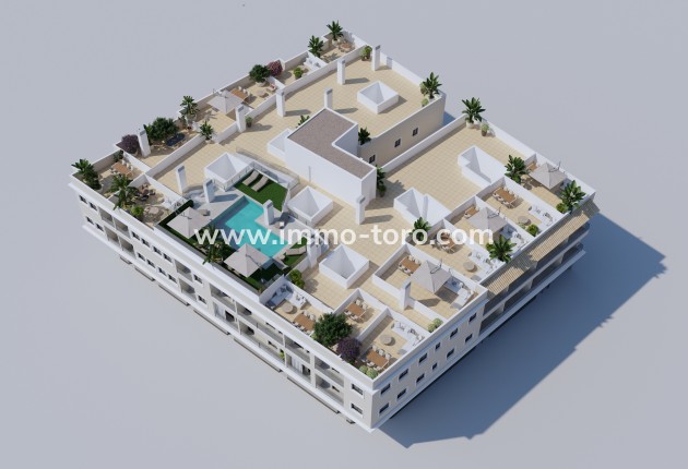 Penthouse - New Build - Algorfa - ITH-82889