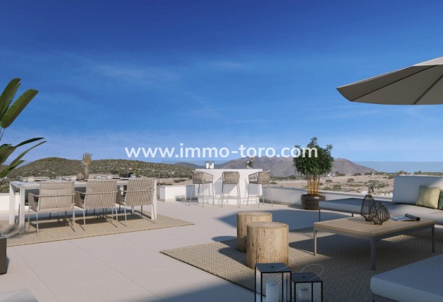 Penthouse - Nouvelle construction - Casares - Camarate
