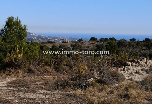 Plot - Resale - Jalon - Xalo - Jalon