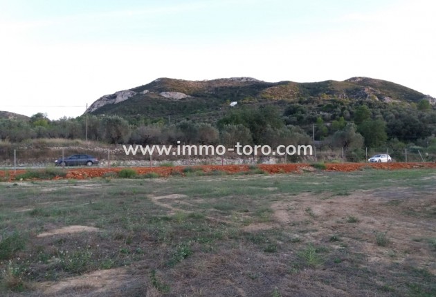 Plot - Revente - Alcalali - Alcalalí