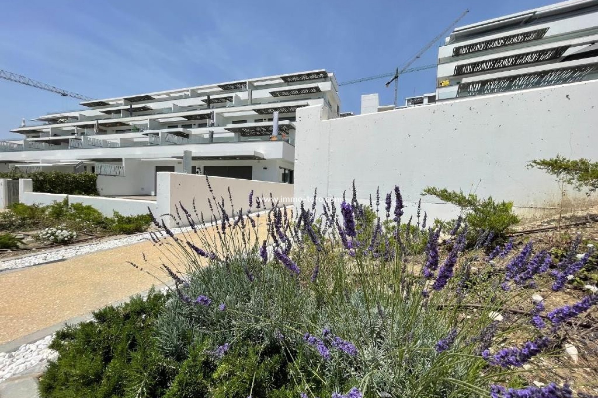Resale - Apartment - Finestrat - Seascape resort