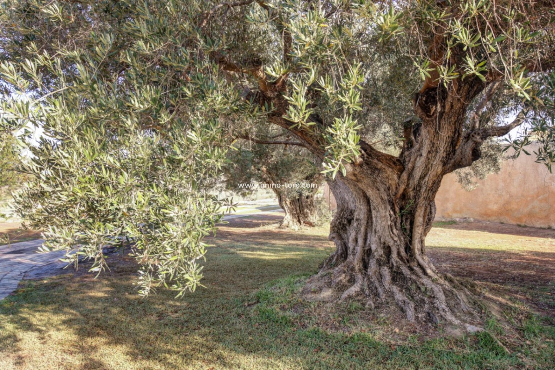 Resale - Finca / Country Property - Moraira - Campo