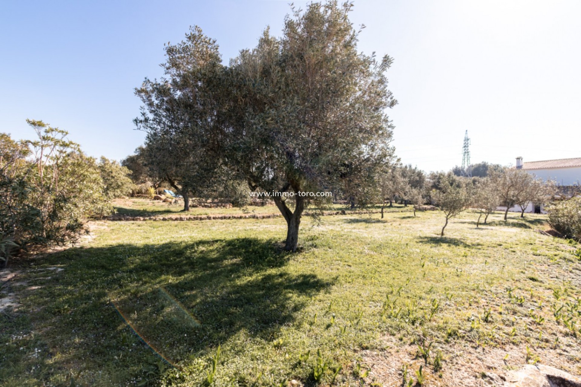 Resale - Finca / Country Property - Teulada - Canor
