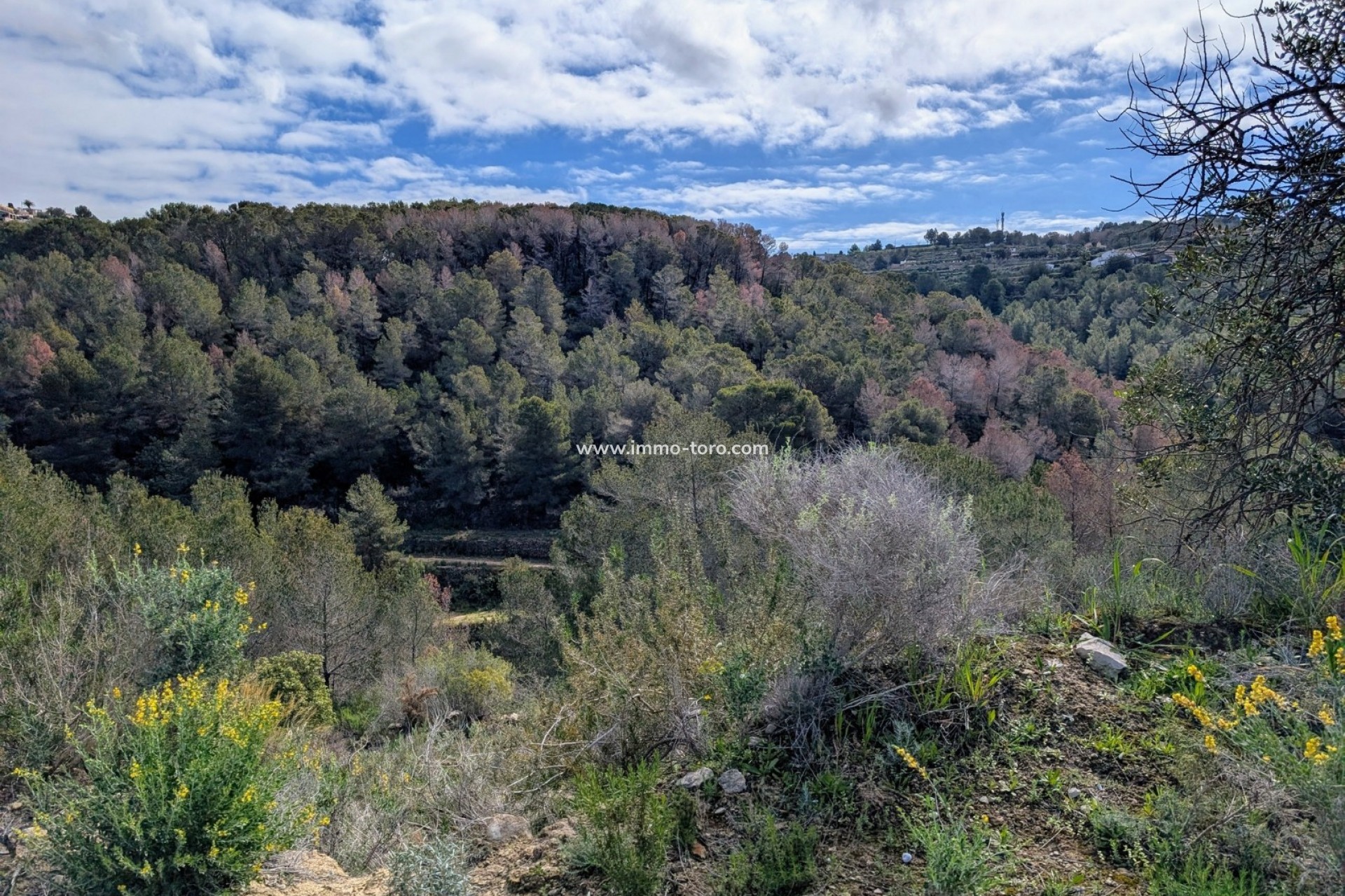 Resale - Plot - Benissa - Partida Biasner