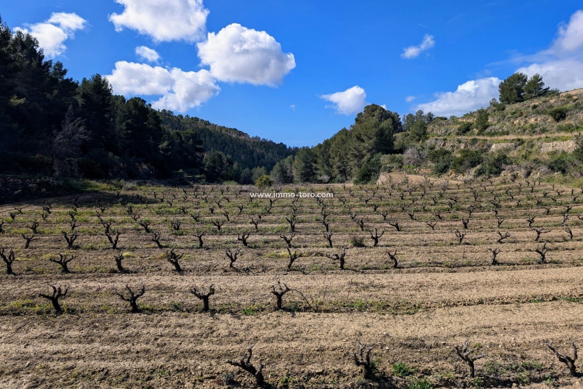 Resale - Plot - Benissa - Partida Biasner