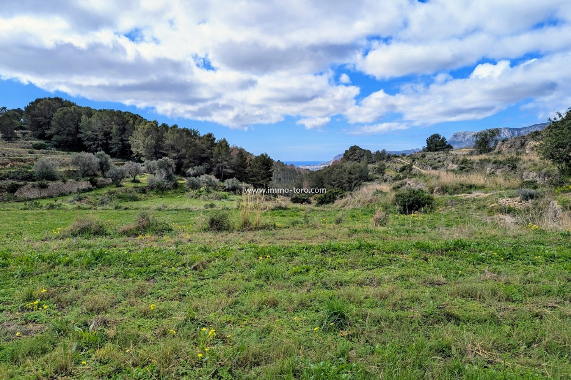 Resale - Plot - Benissa - Partida Biasner