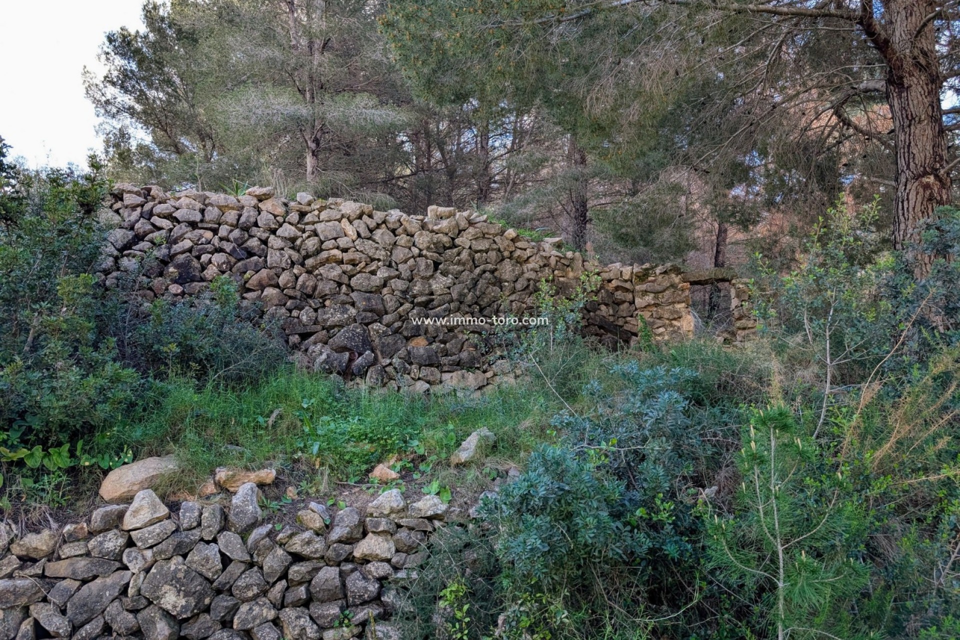 Resale - Plot - Benissa - Partida Biasner