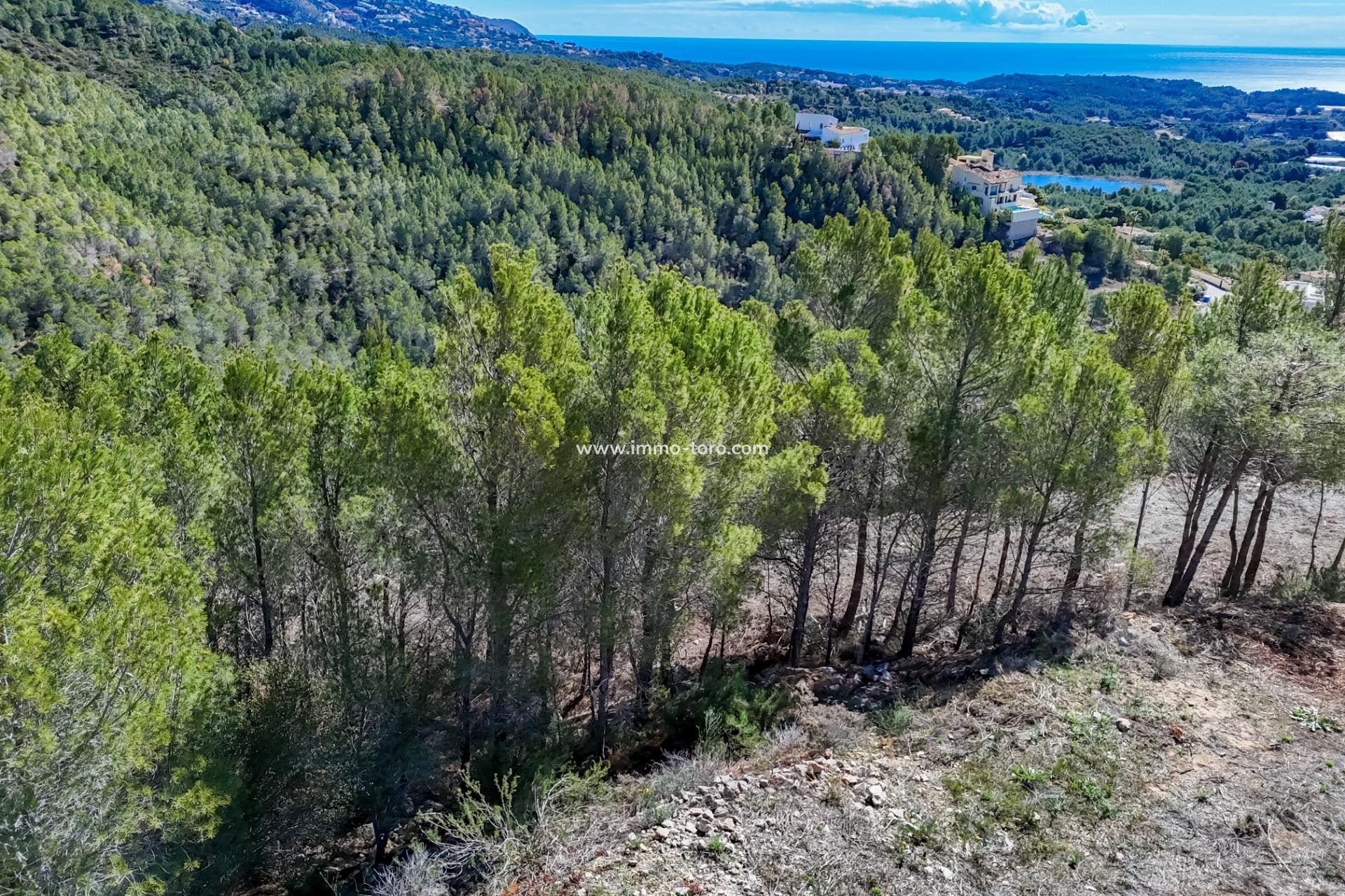 Resale - Plot - Callosa d'en Sarrià - Santa clara