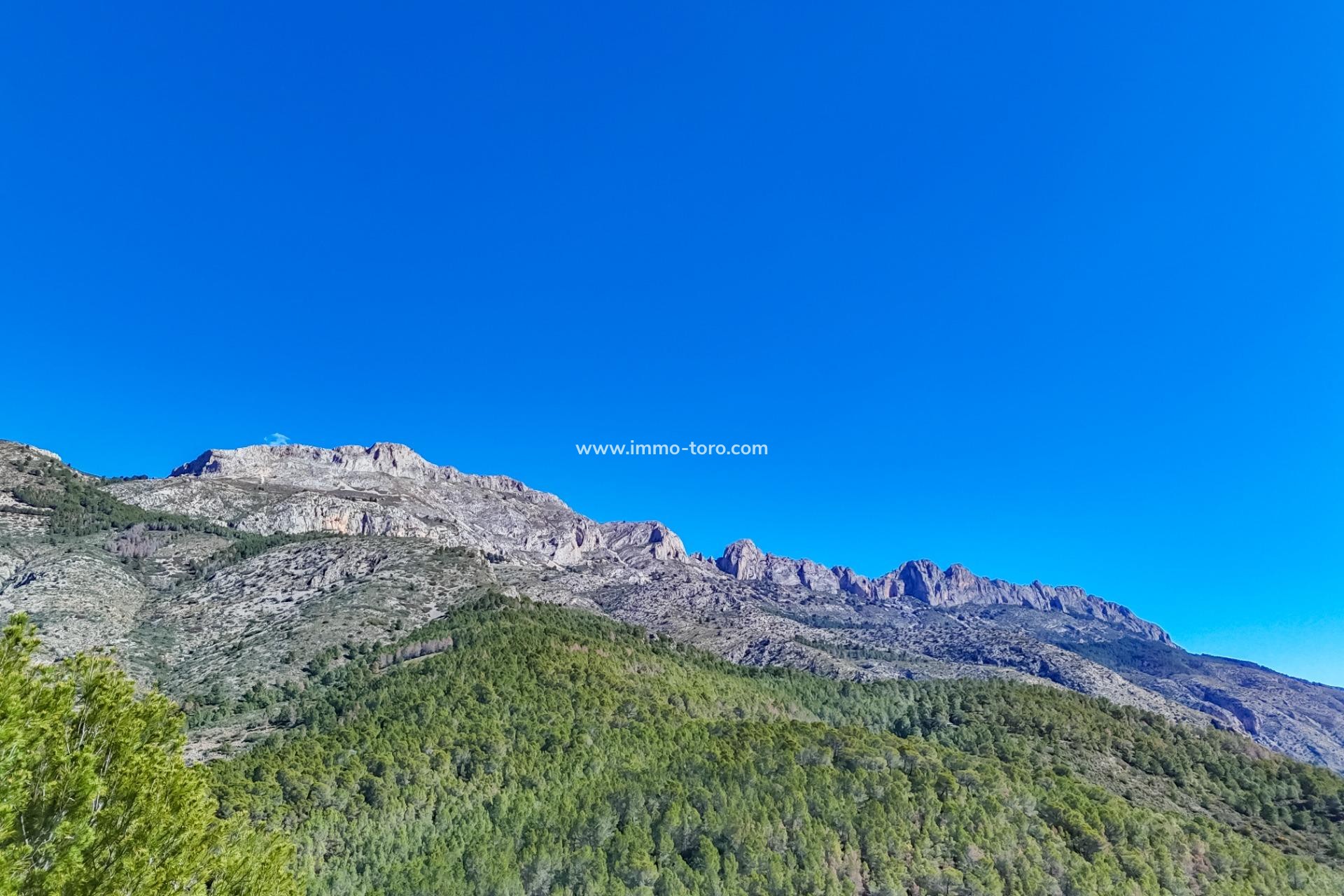 Resale - Plot - Callosa d'en Sarrià - Santa clara
